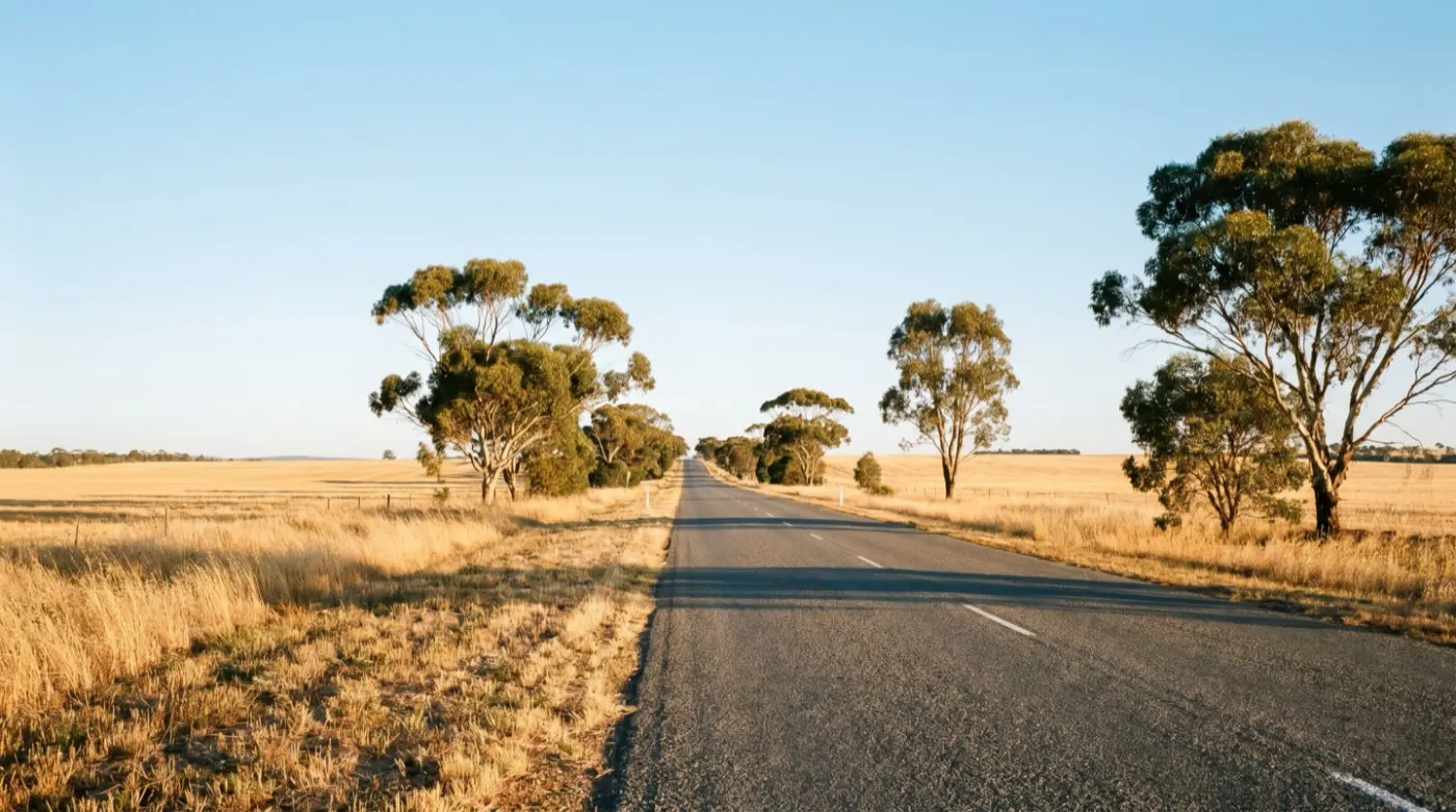 A quiet country highway through golden summer paddocks and gum trees in southern WA