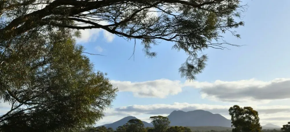 Distant peaks of the Stirling Range across green farmland, framed by tree branches
