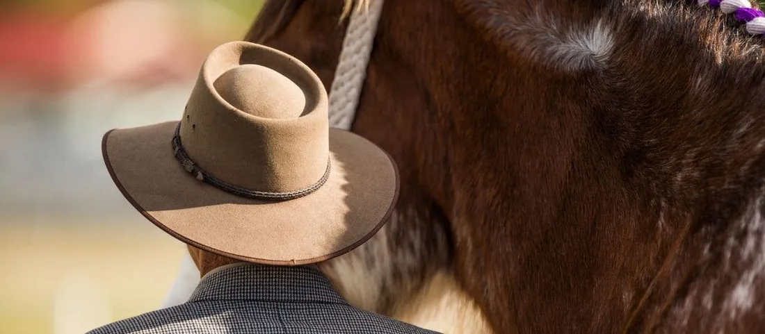 A person in an Akubra-style hat and tweed jacket standing beside a brown horse at a country show